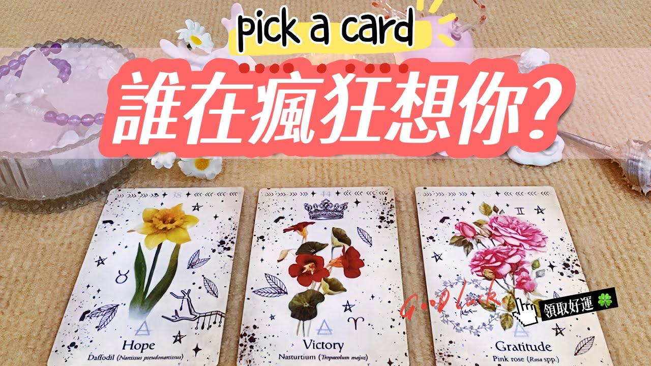 🔮愛情占卜✨誰在瘋狂想你，想到夜不能寐？💘都在想些什麼？下一步會不會有所行動？【不限男女不限時間】