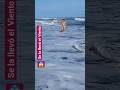 se la llevó el viento 😱😳#envivo #tiktok #motivationalvideo #shark #beach #woman #bikini #gym #girls