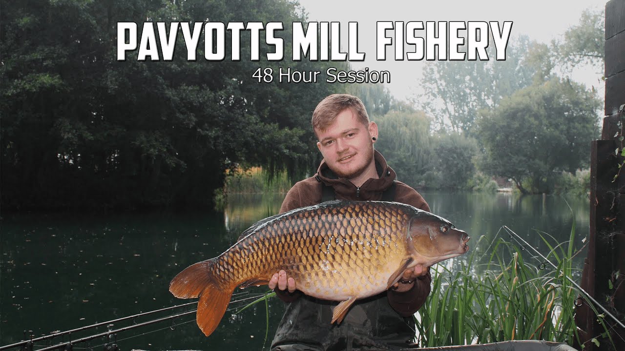 PB BROKEN at Pavyotts Mill Fishery! 48 Hour Summer Carp Fishing Session
