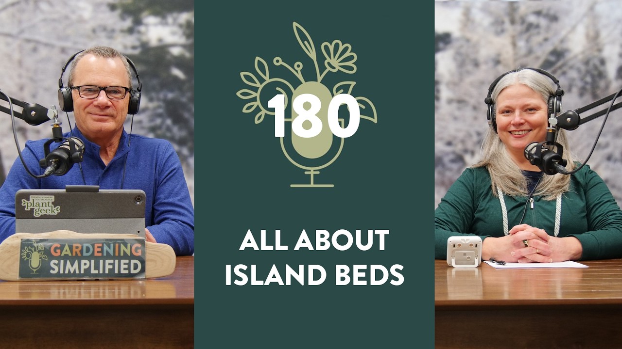 An In-Depth Look at Island Beds | 180