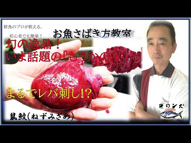 ネズミザメの心臓 鼠鮫 さばき方 レバ刺し 幻の珍味 もうかの星 サメ By鮮魚店 きのした生魚店 広島県東広島市西条 21 How To Fillet Salmon Shark Youtube ネズミザメの心臓 鼠鮫 さばき方 レバ刺し 幻の珍味 もうかの星 サメ By鮮魚店 きのした生魚店 広島県東広島市西条 21 How To Fillet Salmon Shark Youtube