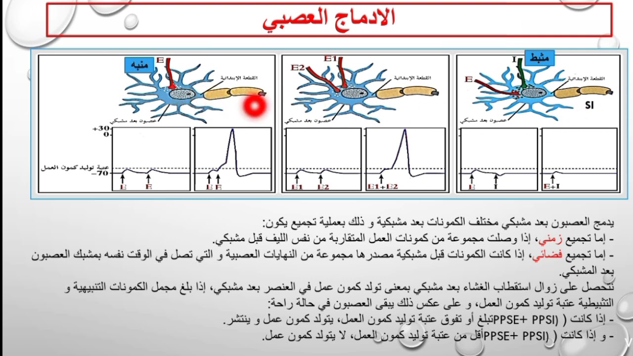 ملخص الادماج العصبي وتأثير المخدرات علوم طبيعية بكالوريا 