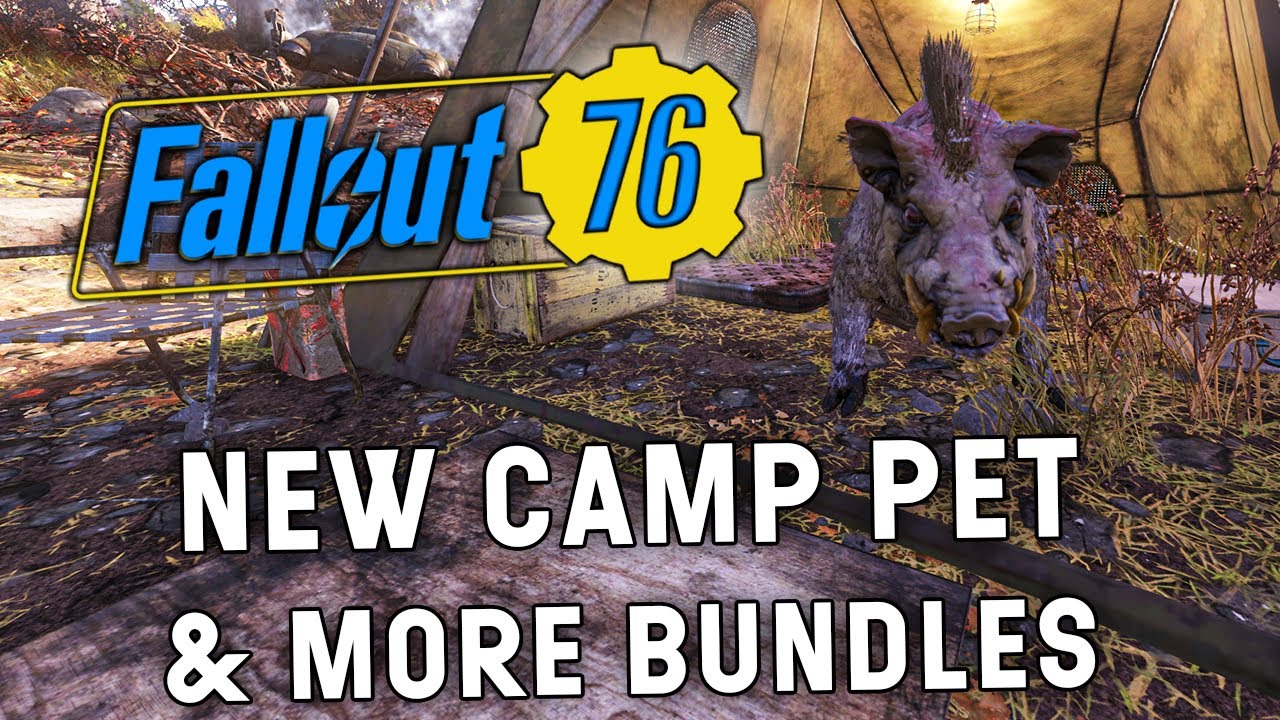 There Is A New Camp Pet & Some Good Looking Bundles In The Atomic Shop