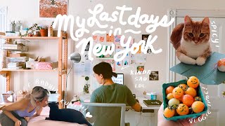 studio vlog 31 ★彡 my last days in nyc, chill summer days, & I met radhia!! 🥬🧋🍰🌷