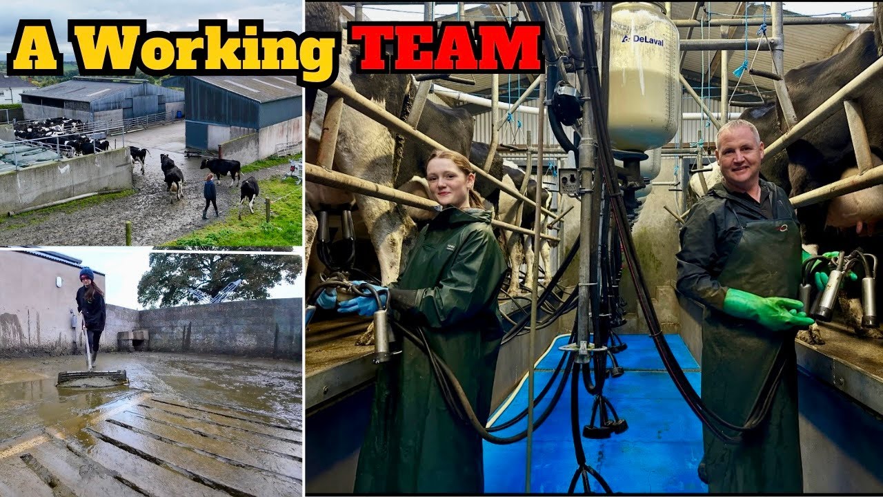 What The Term ''FAMILY FARM'' Really Means - Our Biggest CHANGE Yet!