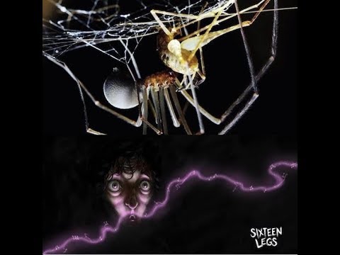 camera iphone 8 plus apk Sixteen Legs, Giant Prehistoric Spiders - ABC Radio