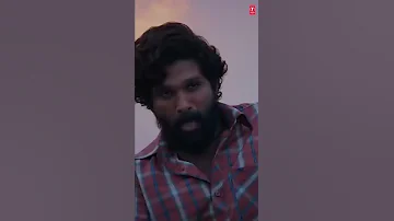 Teri Jhalak Asharfi Srivalli Pushpa AlluArjun RashmikaMandanna Javed Ali DSP Sukumar 