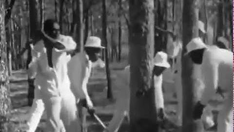 Call & Response. Work song - Prision song (1966)