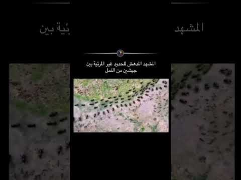 أغاني 2025 اغاني موسيقى ترند اكسبلور تعليم لايك التأمل