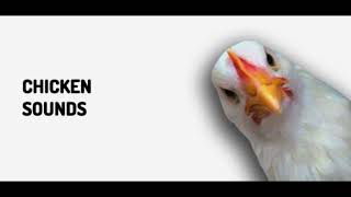 Chicken Clucking Sound Effect