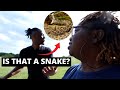 ALMOST ATTACK BY A SNAKE!