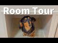 愛犬のために建てたマイホームのルームツアーしちゃいます♪【ダックスフンド】
