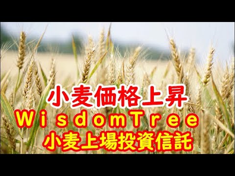 小麦価格が上がったので一部利確しました ２０２３年６月２２日