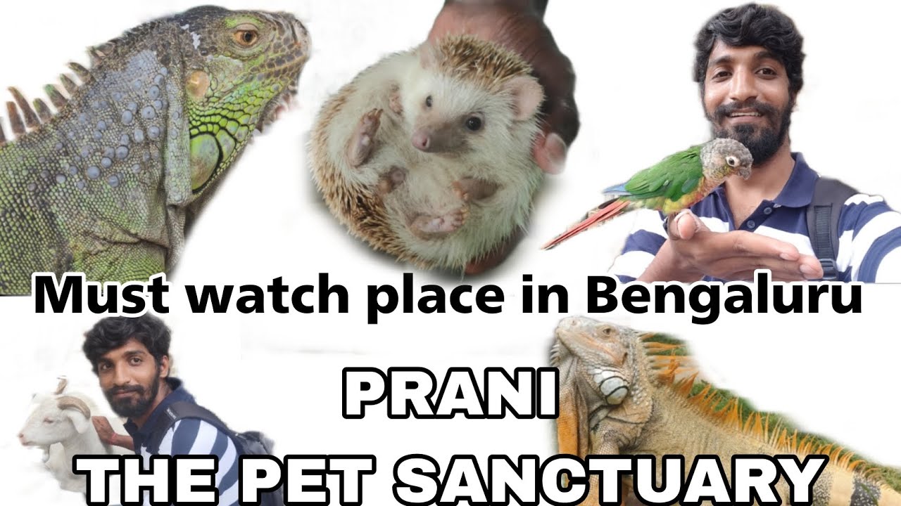 PRANI The Pet Sanctuary, Bengaluru One of the Best places to visit