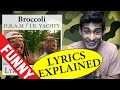 Broccoli Lyrics Explained
