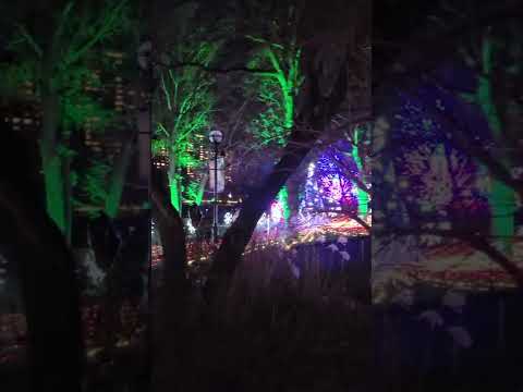 Videó: Lights a Lincoln Park Állatkertben: Karácsony Chicagóban