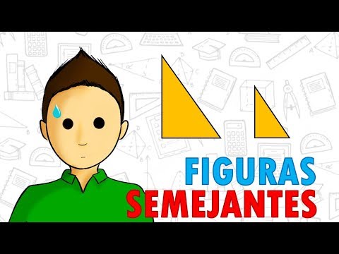 Vídeo: ¿Cuáles Son Los Diferentes Tipos De Relaciones? 35 Términos Para Saber