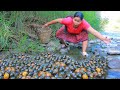 Women Found Snail at river for food - Cooking soup snail with Prahok juice  Eating delicious HD