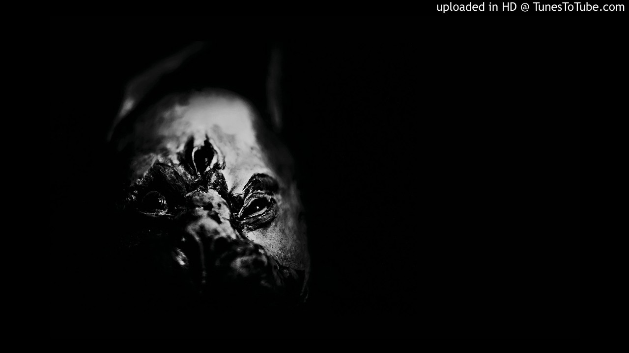 Mira Restive Plaggona - Distorting Reality en YouTube Mira Restive Plaggona - Distorting Reality en YouTube