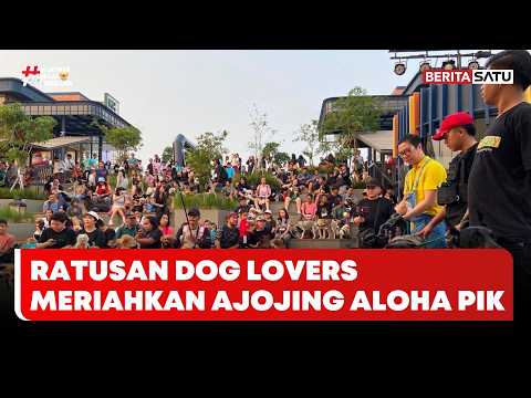 Ratusan Dog Lovers Meriahkan Ajojing di Aloha PIK 2 #BeritasatuSore