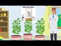 Why VPD Could Be Killing Your Yields!