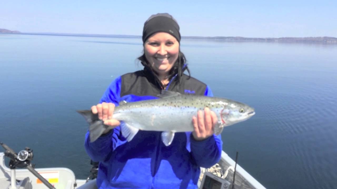 Atlantic Salmon on Torch Lake - YouTube