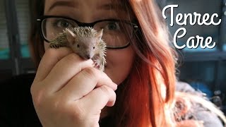 General Tenrec Information & Care