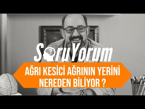 SoruYorum - Ağrı Kesici Ağrımızın Yerini Nereden Biliyor ?