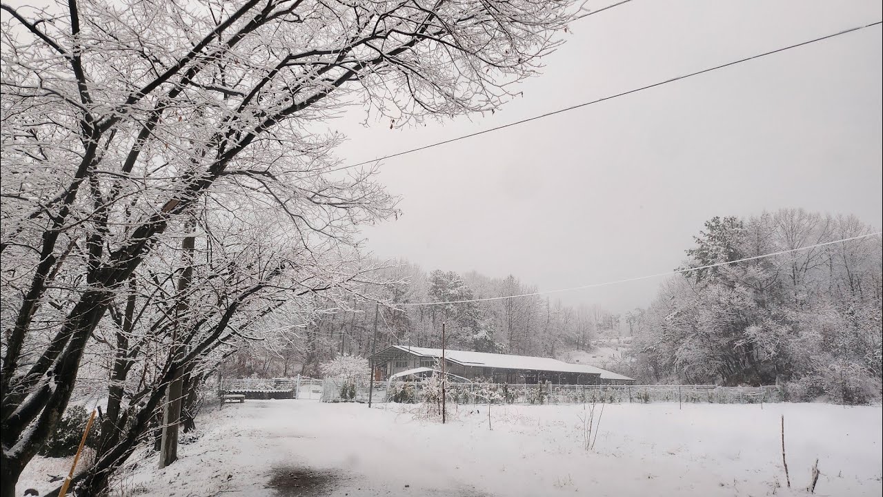 담소정에 눈 내리던 날  #포항폭설