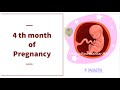 4th month of pregnancy 13141516 weeks in kannada