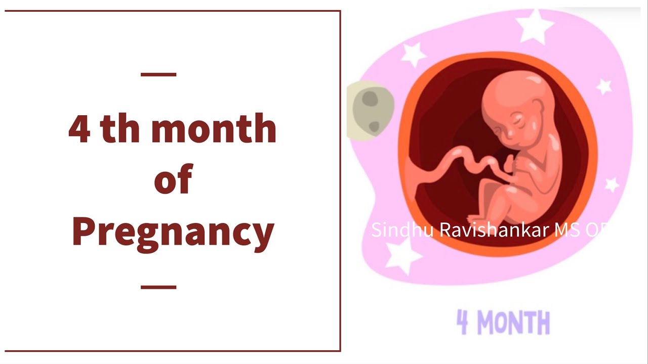 4th Month of Pregnancy (13,14,15,16 weeks) in Kannada