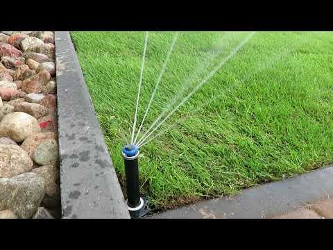 Wideo: Automatyczne nawadnianie trawnika