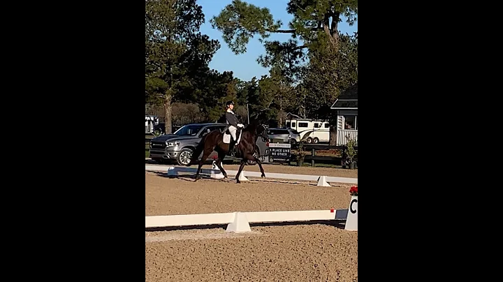Laura Abner and Bellina - First Developing PSG Feb...