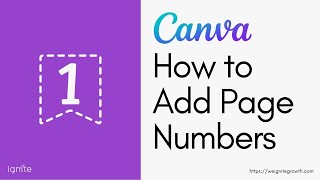 How to add page numbers in Canva  Automatically & Manually