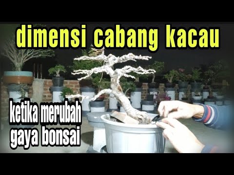 Video: 5 Ide untuk Menambah Kepribadian ke Tangga Anda