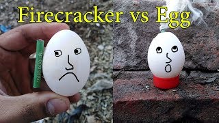 Experiment of Firecracker vs Egg || Mad Scientist