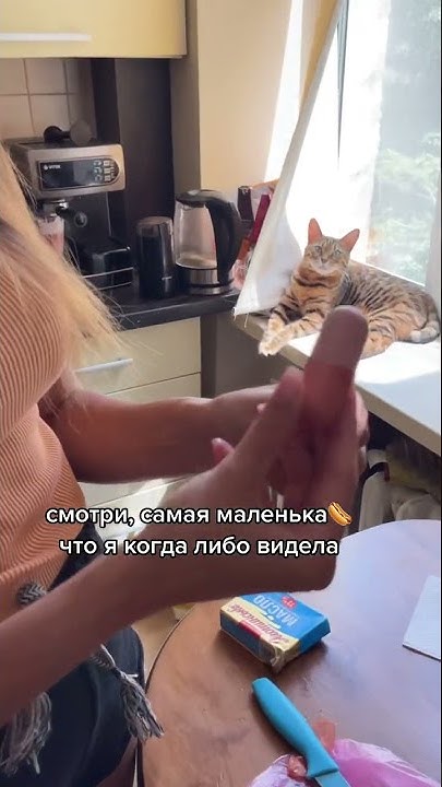 У ТЕБЯ МАЛЕНЬКАЯ СОСИСКА😁🤭 - YouTube