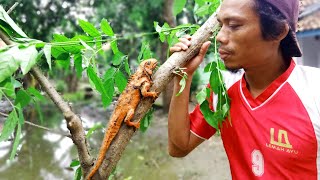 How To Make Clay Iguana | Crimson Albino Iguana | Nemu Iguana Di Pohon