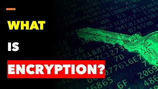Importance of Encryption: 6 Important Steps You Need to Know #cybersecurity #encryption