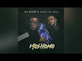 Mr Brown & Kabza De Small - Moshomo (Official Audio) New song