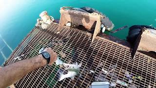 Barracuda On Ultra Light