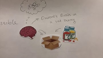 Brain in a Vat