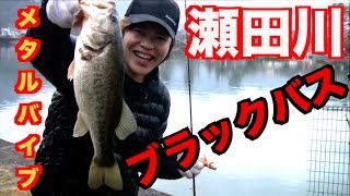 真冬の瀬田川でメタルバイブでバス釣った動画