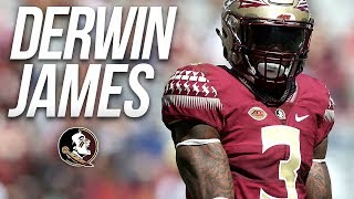 Hardest Hitting Safety In College Football || Derwin James Florida State Highlights