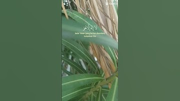 آيات من القرآن الكريم