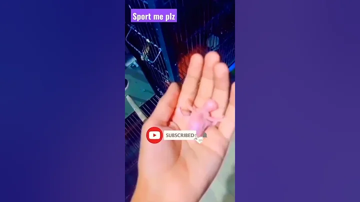 30 Days and 3o second baby bird/ 1 to 30 Days growth stages