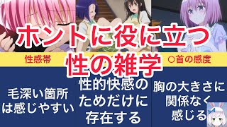 本当に役に立つ雑学　『ToLOVEる』『ランキング』『比較』