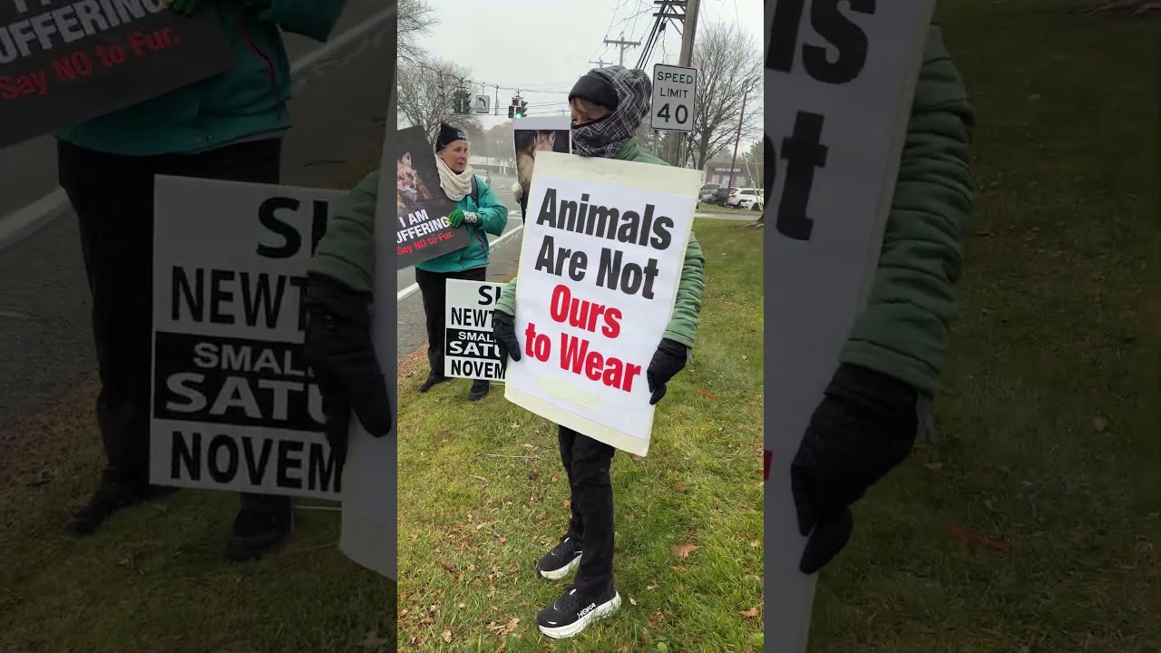 Fur Free Friday Protest near Albany, NY #furfree #animalliberation