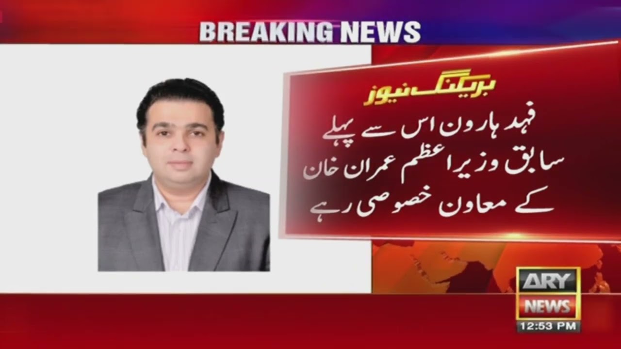 Fahad Haroon appointed as Special Assistant CM Sindh for media affairs