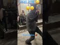 Dance #viral #shorts